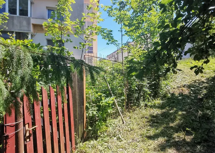 Cosy 2 Rooms Apartment With A View Near The Forest