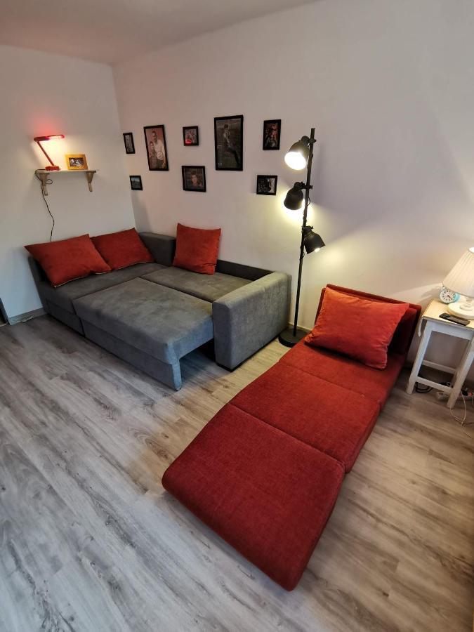 Cosy 2 With A View Near The Forest Apartment Predeal